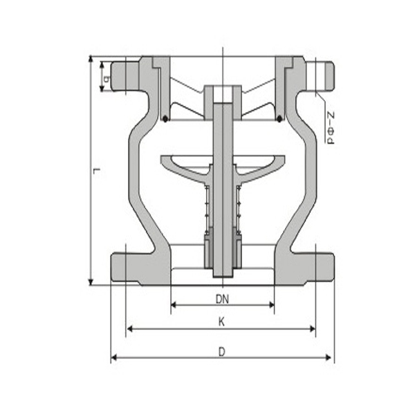 HC41X-16 Muffler check valve Flange check valve1.jpg